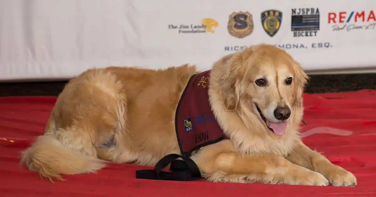 Shore Point Advisors Hosting Event for paws4vets