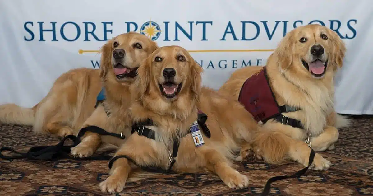 Local World War II Hero to Be Honored at 4th Annual Night Amongst Heroes Gala