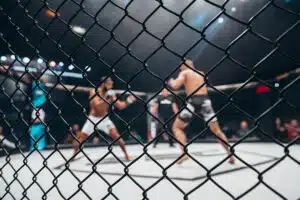 The Ultimate Pivot: How The Ultimate Fighter Finale Catapulted the UFC into the Mainstream